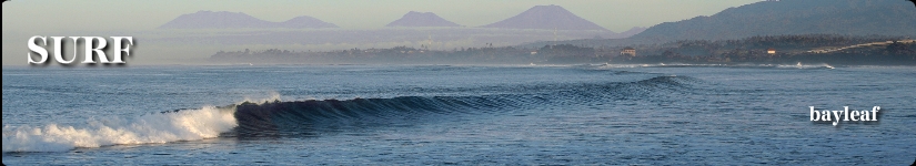SURF TOP