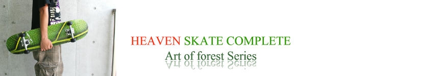 HEAVEN SKATE art of forest