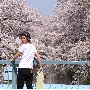 sakura-enari-2